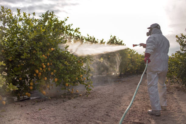 Professional Pest Control in Crowley, LA